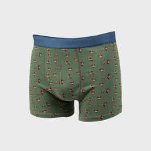 un boxer en coton biologique "Teckel" Billybelt, vue de face sur fond blanc