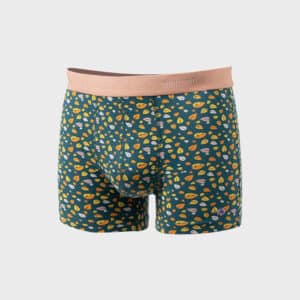 un boxer en coton biologique "Ottawa" Billybelt, vue de face sur fond blanc