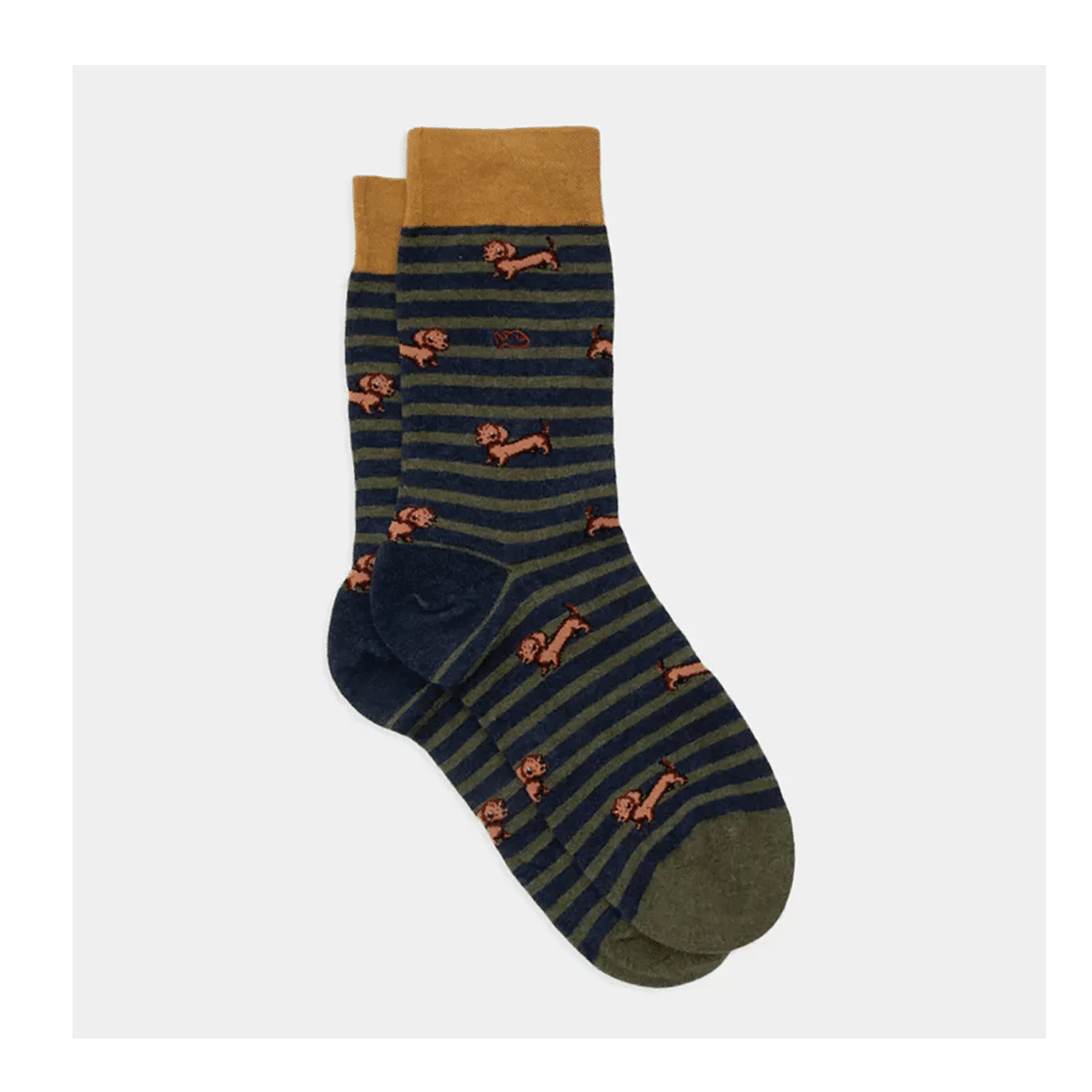 une paire de chaussettes en coton peigné "teckel" Billybelt, vue de face sur fond blanc