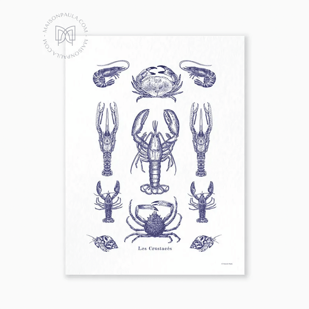 Affiche - Les Crustacés de Maison Paula : Un Voyage dans la Faune Marine, Maison Paula, vue de face sur fond blanc