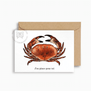 Carte Postale Avec Enveloppe "J'en pince pour toi" de Maison Paula, vue de face sur fond blanc