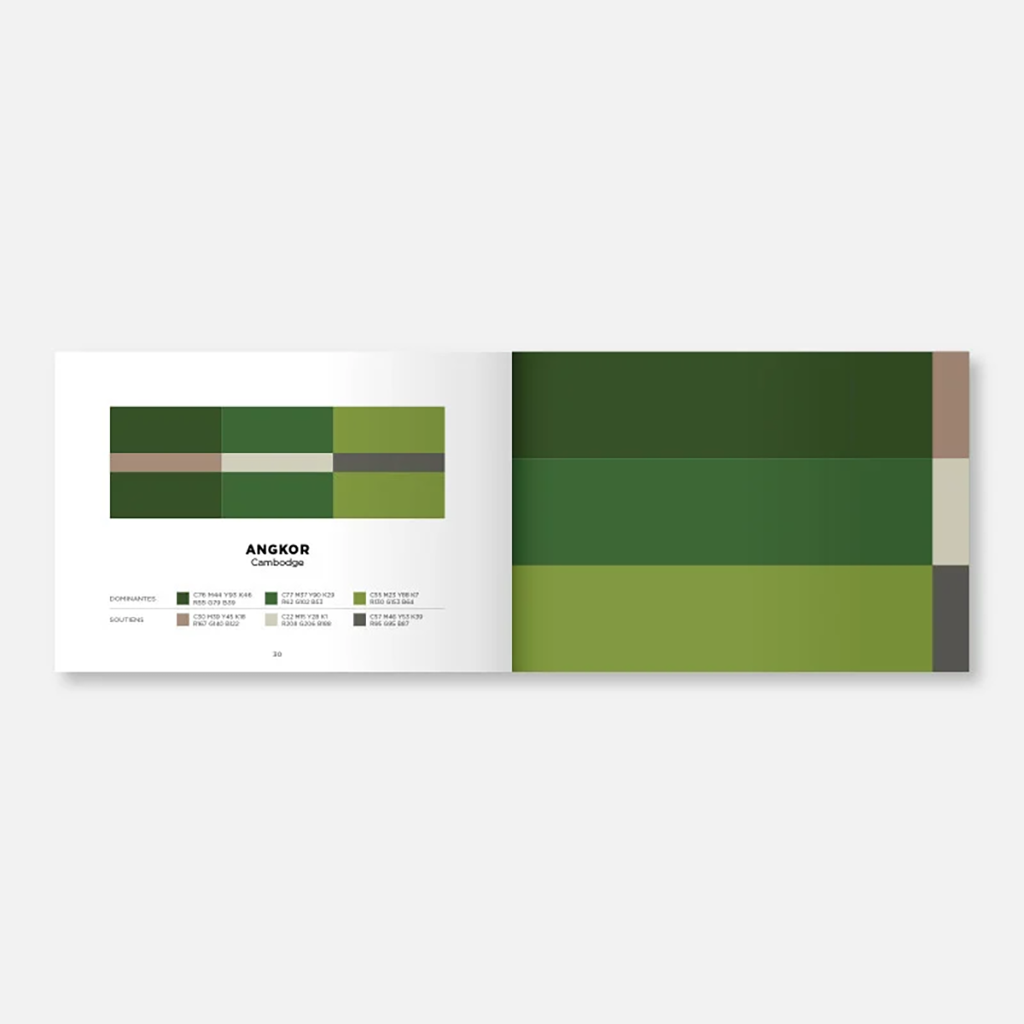 papier-tigre_color-inspiration-volume-1, ouvert sur fond blanc