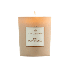 une bougie végétale pin de Provence Plantes&Parfums, vue de face sur fond blanc