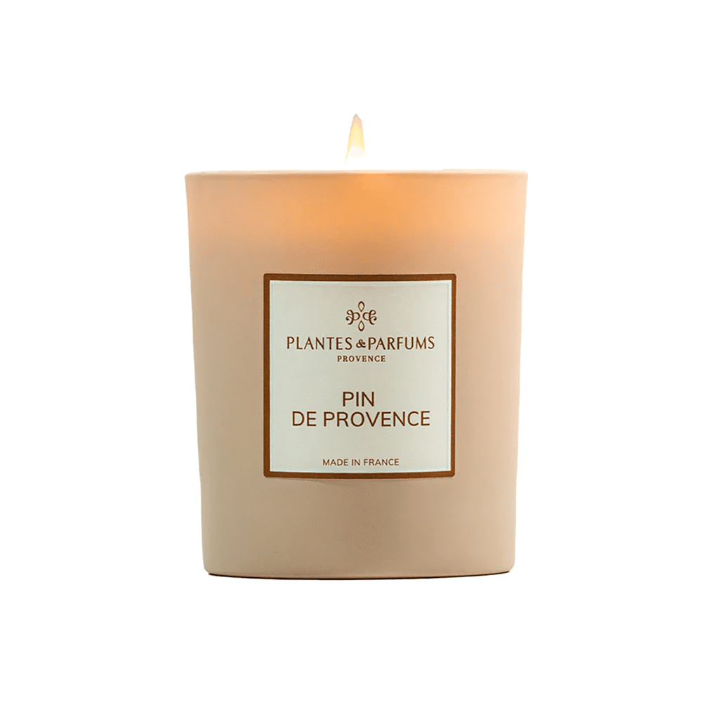 une bougie végétale pin de Provence Plantes&Parfums, vue de face sur fond blanc
