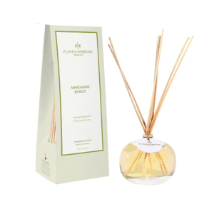 un bouquet parfumé mandarine basilic Plantes&Parfums, vue de face sur fond blanc