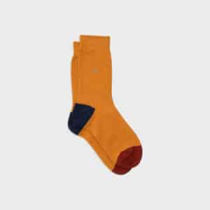 Une paire de chaussettes en coton peigné unies moutarde bleu et rouge Billybelt, vue de face sur fond blanc