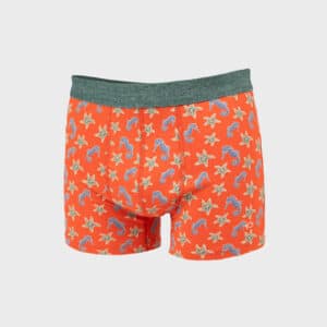 Boxer en coton biologique “Seahorse” – Billybelt - Vu de face sur fond blanc