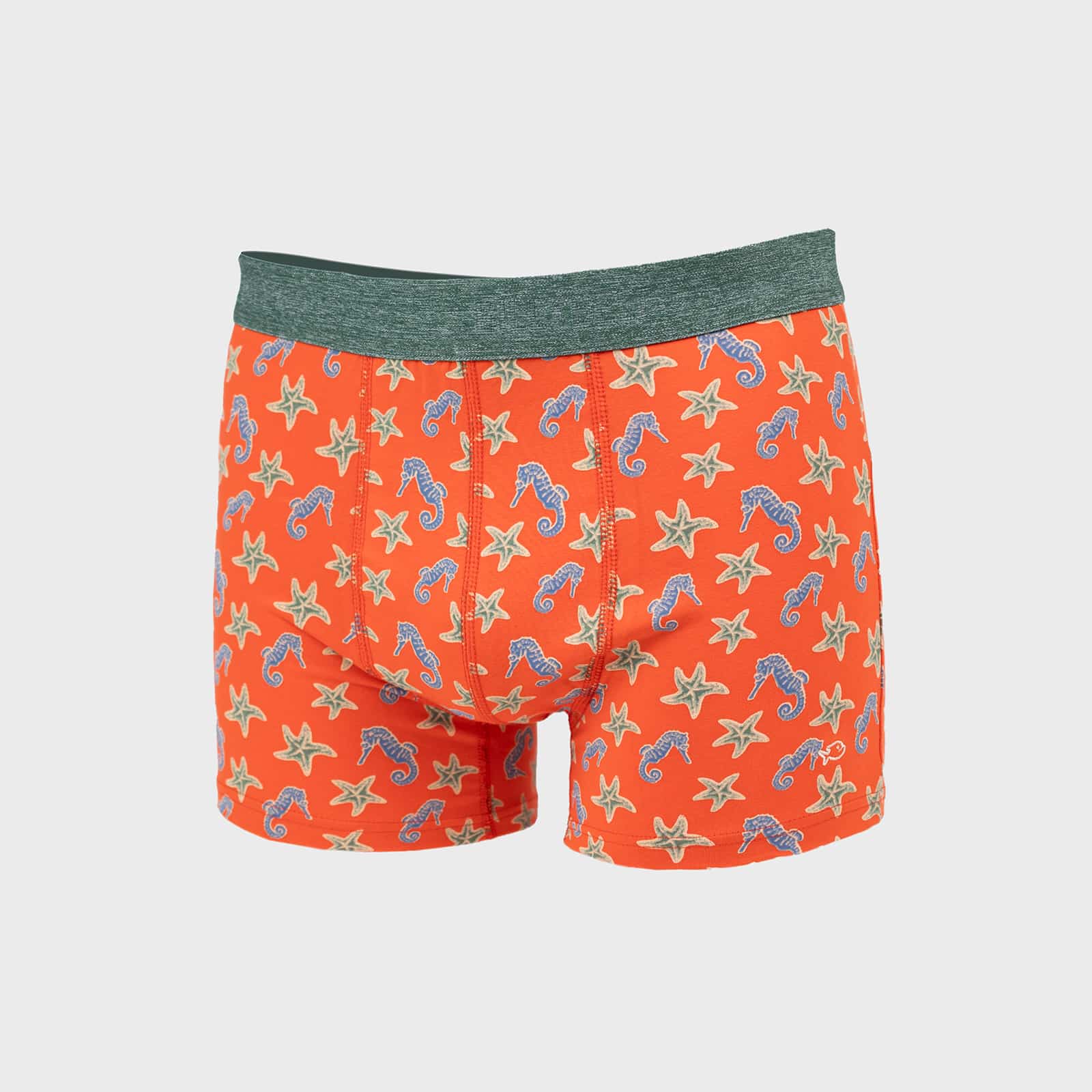 Boxer en coton biologique “Seahorse” – Billybelt - Vu de face sur fond blanc
