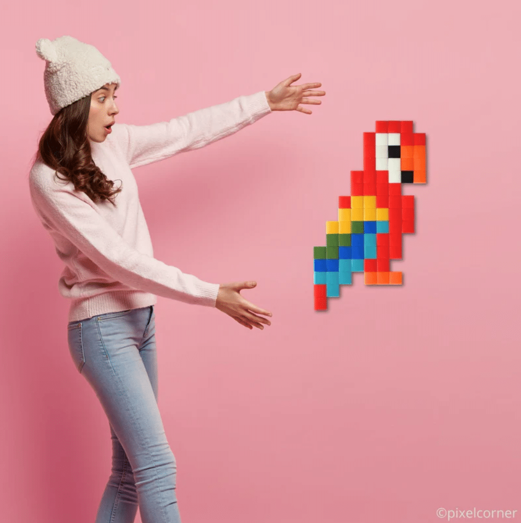 Kit DIY pixel art - Papagayo - Pixel Corner - ambiance