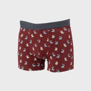 Boxer Marcel – Coton biologique - Billybelt - Vu de face sur fond blanc