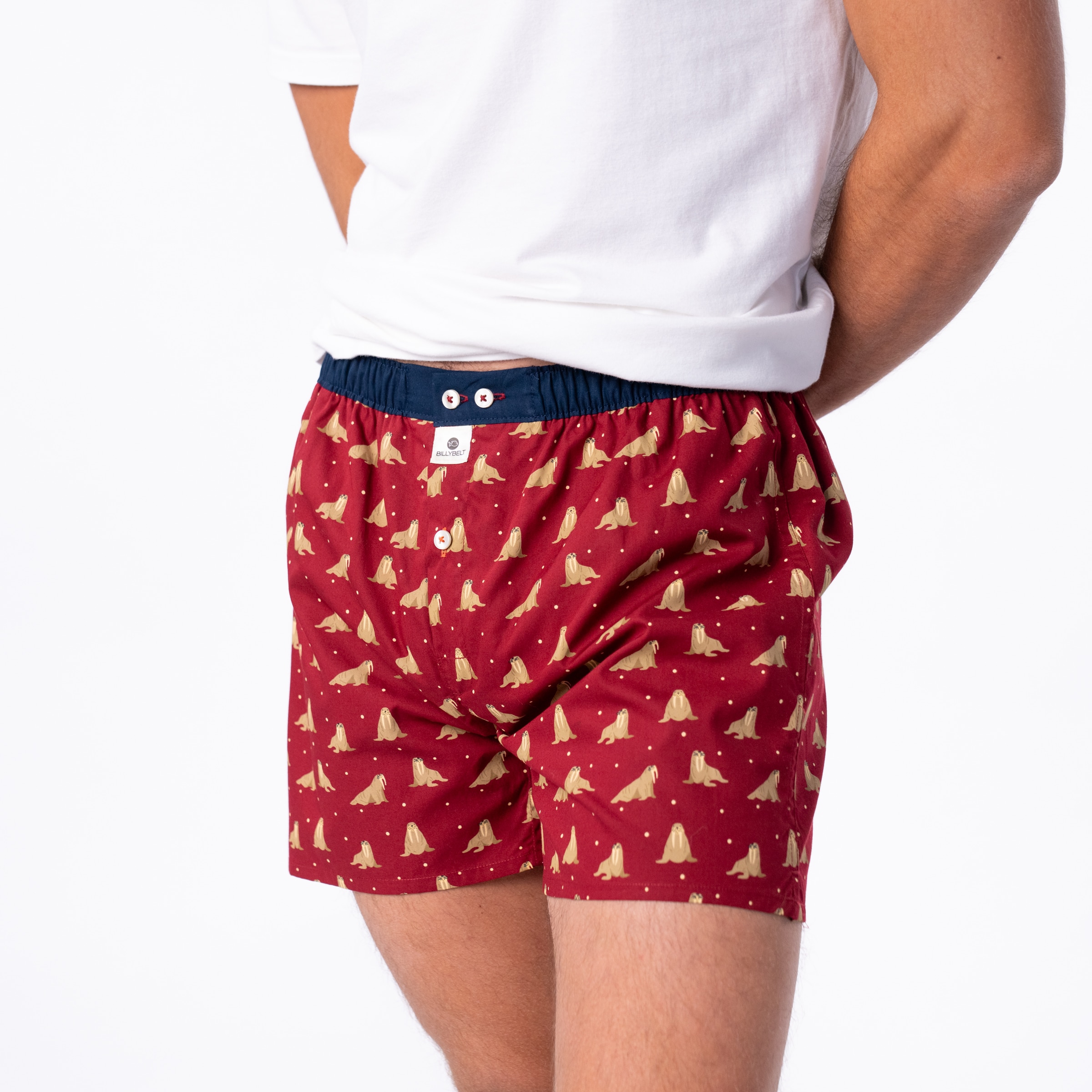Caleçon 100 % coton biologique – Walrus – Billybelt - Porté