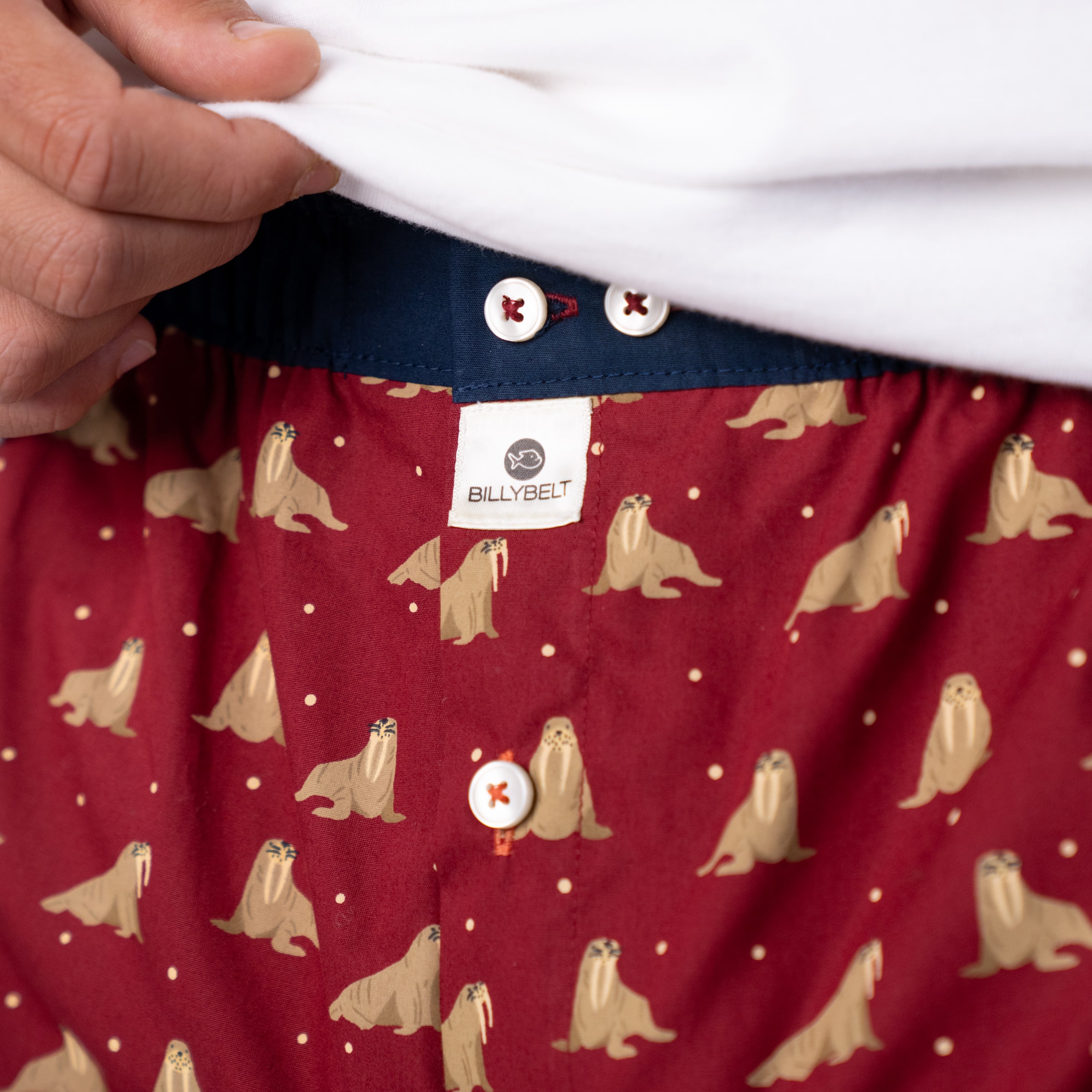 Caleçon 100 % coton biologique – Walrus – Billybelt - Porté
