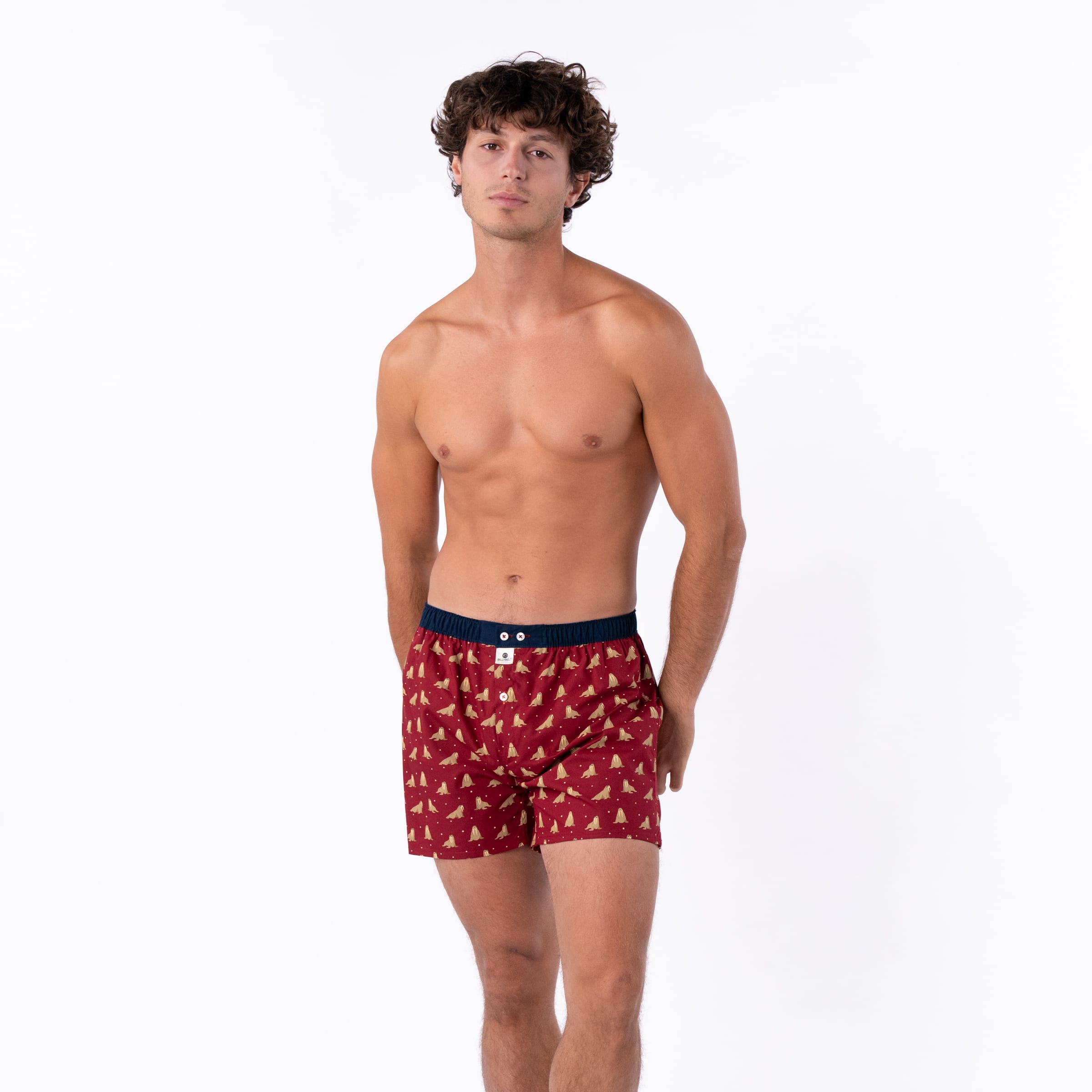 Caleçon 100 % coton biologique – Walrus – Billybelt - Porté