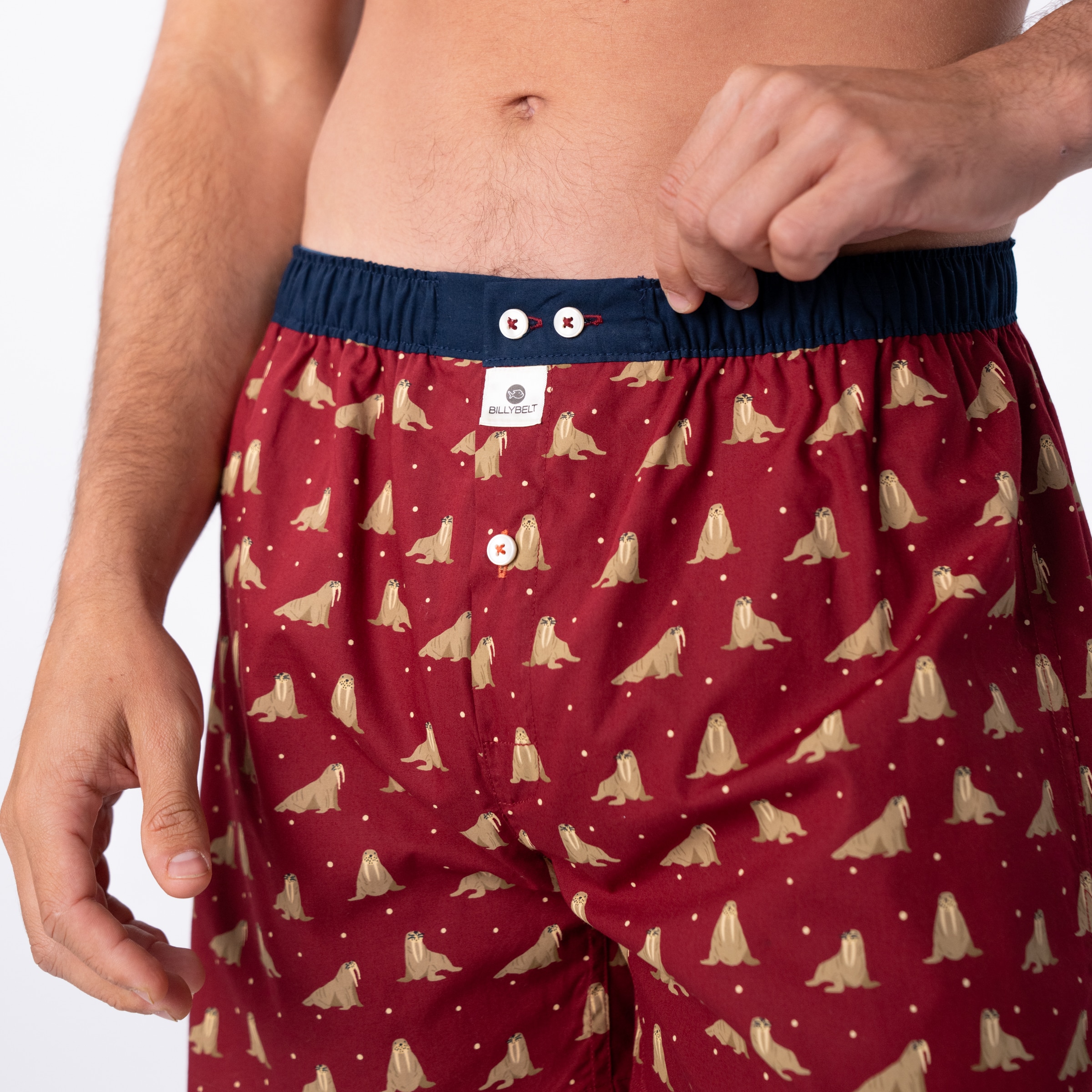 Caleçon 100 % coton biologique – Walrus – Billybelt - Porté