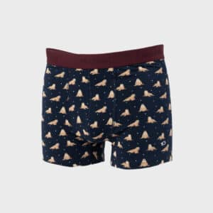 Boxer Freya – Coton biologique - Billybelt - Vu de face sur fond blanc