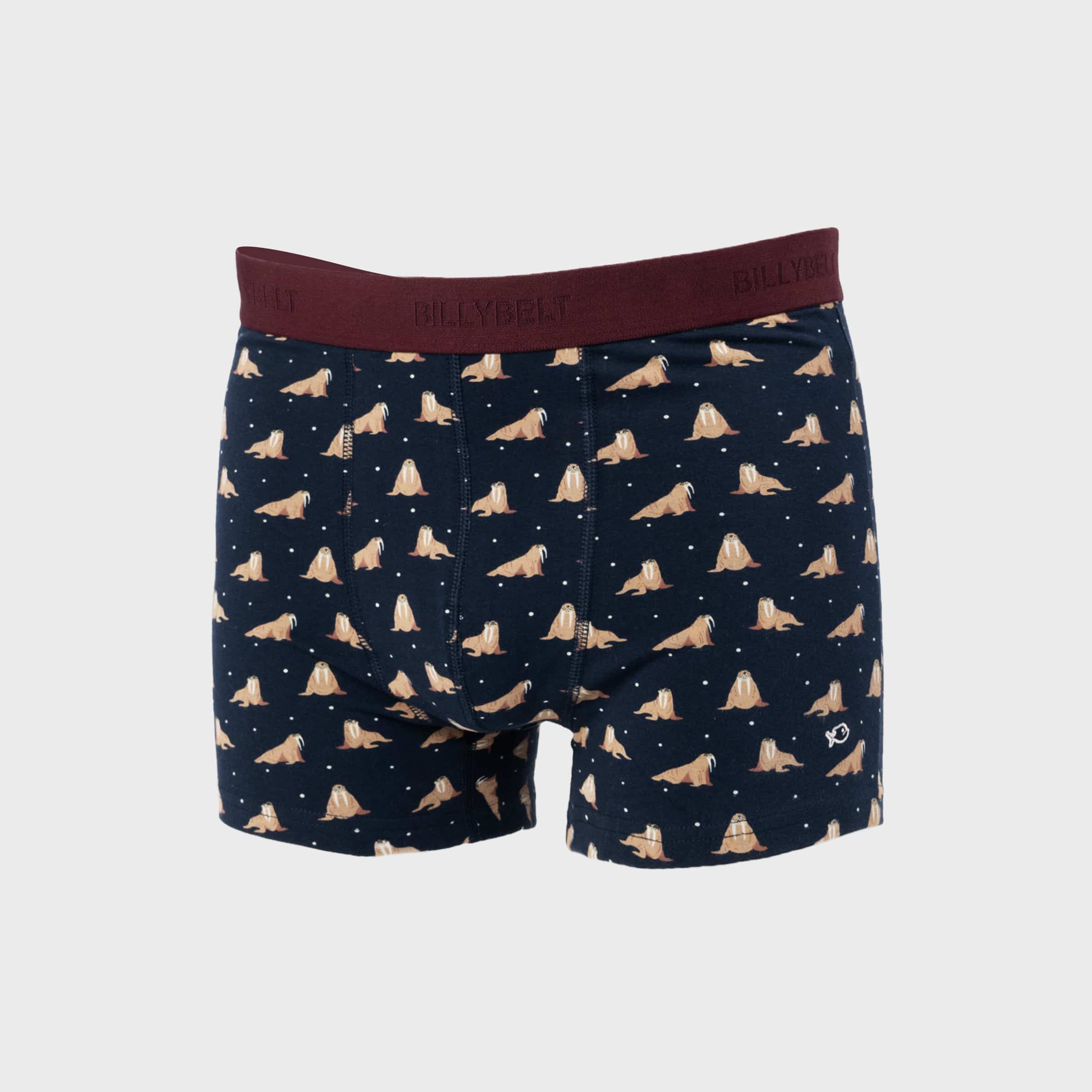 Boxer Freya – Coton biologique - Billybelt - Vu de face sur fond blanc